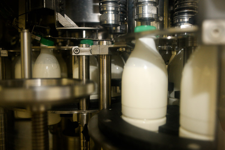 Bloomberg: Americká firma vyrábí trička z nevyužitého mléka