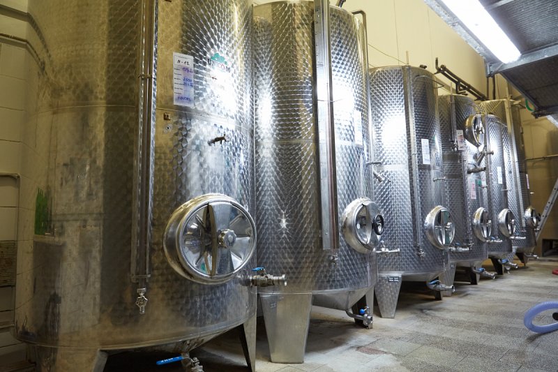 Vědci vyvinuli technologii, která umožňuje využít CO2 vzniklý při výrobě vína