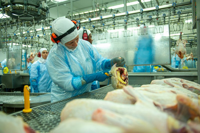 Produkce foie gras ve Francii by letos poprvé po pěti letech měla vzrůst