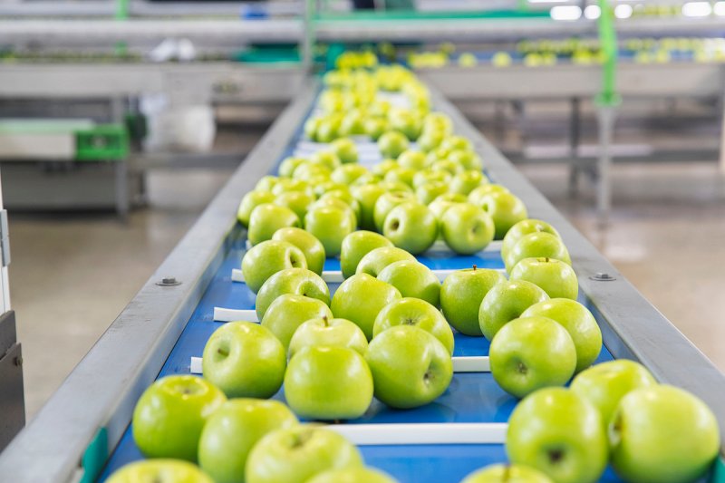 Sklizeň ovoce loni klesla o 26 procent, jablek bylo nejméně od roku 2011