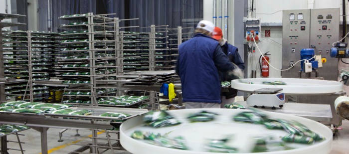 Hamé kupuje výrobce mražené zeleniny Agrimex Vestec
