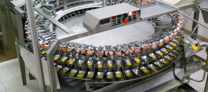 Záruba Food plánuje plně automatizovanou novou halu i s roboty