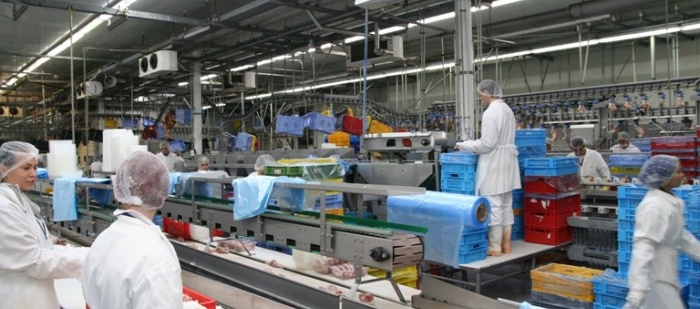 Vodňanská drůbež loni zvýšila tržby o 109 mil. na 4,598 mld Kč