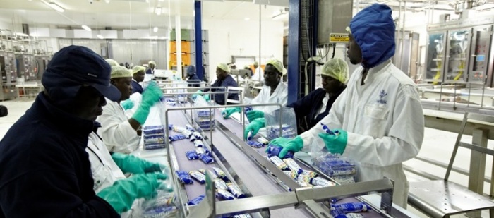 Danone koupí podíl 40 procent v největší mlékárně ve východní Africe