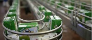AFP: Ve Švédsku má produkce kravského mléka hořkou chuť