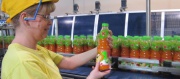 Nápojářské firmě Maspex loni stouply tržby na 845 milionů korun