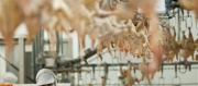 Polsko v čele hodnocení potravin Food Security Index