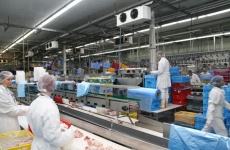 Vodňanská drůbež zvýšila meziroční tržby o 3,48 procent na 5 miliard