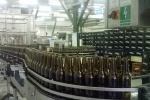 Spotřeba piva v ČR letos kvůli opatřením státu klesne, na vině je i neustálá státní regulace