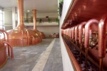 Budvar chce postavit vlastní parní kotelnu, teplárna to kritizuje