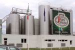 Výrobce parmazánu Brazzale Moravia měl loni rekordní tržby