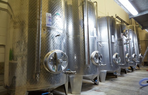 Vinaři budou moci získat až 133 milionů korun ročně z EU