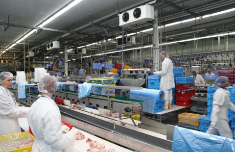 Agrofertu loni vzrostl zisk na trojnásobek, investoval do masné výroby nebo porcovny