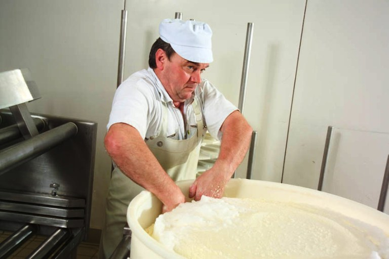 Výrobce štítků z kaseinu zajistil kompletní monitoring pohybu sýra