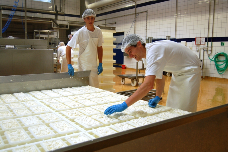 Jihočeská univerzita nabízí nový předmět sýrařství