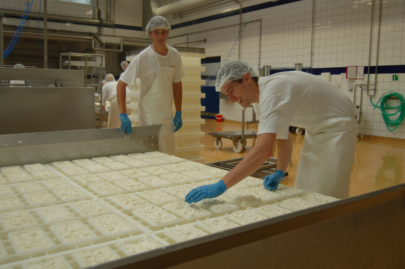 Madeta postaví do dvou let sýrárnu za stovky milionů korun