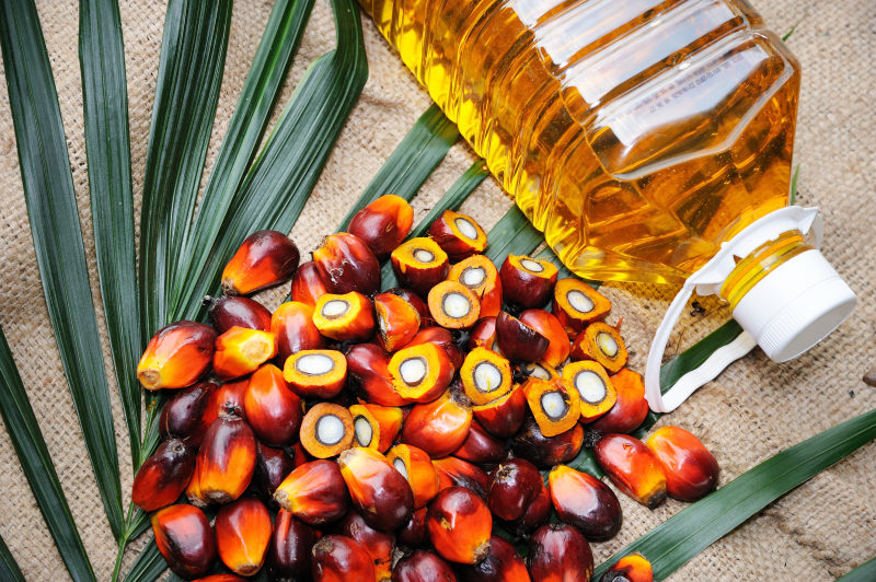 Fond vedený Gatesem investuje do syntetického palmového oleje