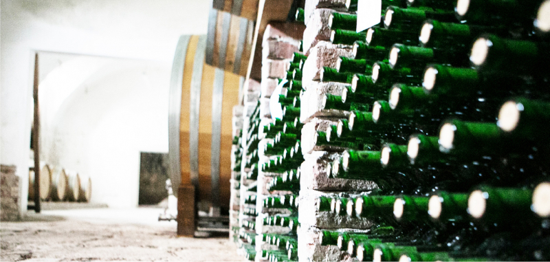 Vinice v Kuksu na Trutnovsku produkuje hlavně šumivá vína