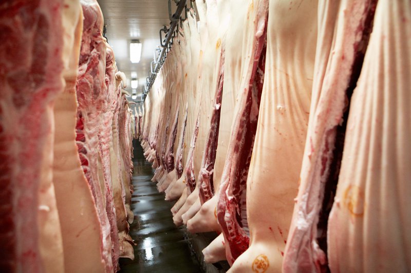 ČSÚ: Výroba masa stoupla o 2,2 procent, počty kachen klesly o 24 procent kvůli chřipce