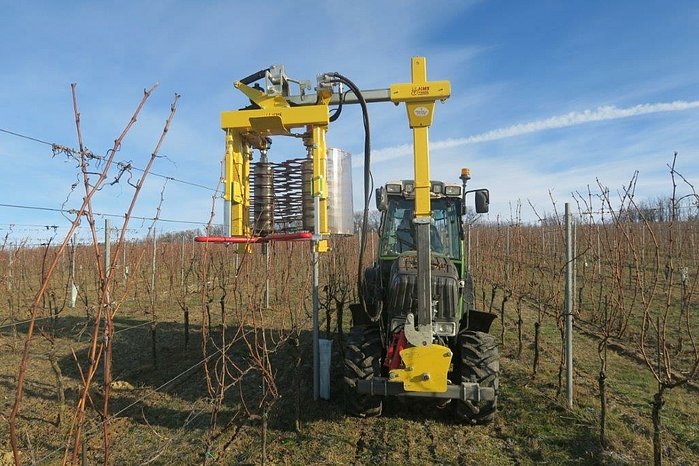 Ruční práce ve vinohradech v Česku je zbytečně mnoho, pomohla by mechanizace
