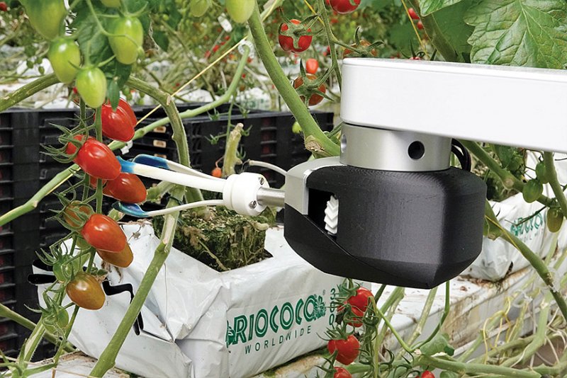 Light Science Technologies vyvíjí inovativní systémy pro pěstování plodin