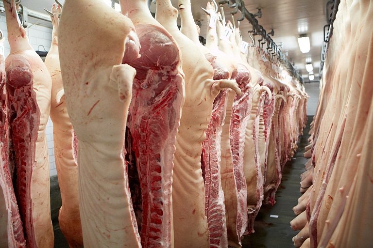 V Česku po roce a tři čtvrtě klesla produkce masa, meziročně o 1,5 procenta
