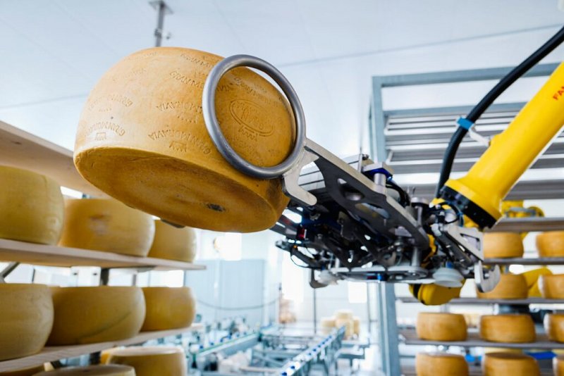 Robotizovaný sklad na sýr Gran Moravia získal cenu za inovaci