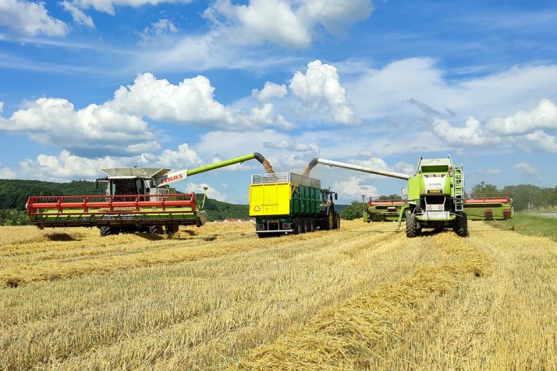 Zemědělské společnosti Zevos meziročně vzrostly tržby, zisk však měla nižší