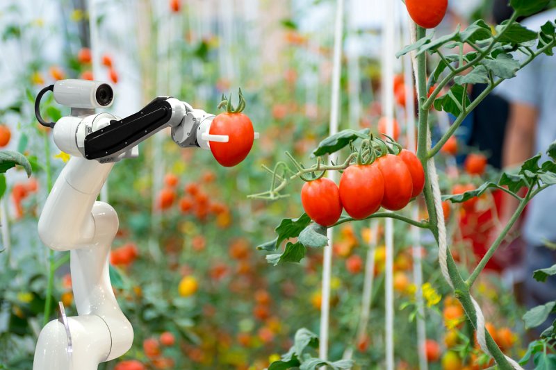 V Troji byly k vidění zemědělské roboty schopné rozpoznat plevel od zeleniny