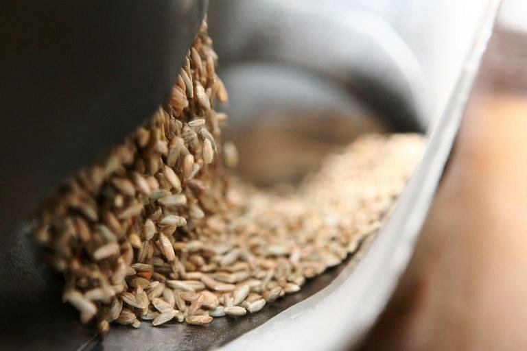 SZIF: Červencové ceny pšenice byly o 35 procent meziročně nižší