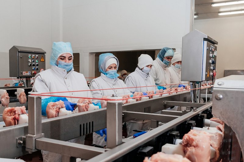 Produkce drůbežího masa v ČR loni klesla o 4 procenta, poprvé od roku 2013
