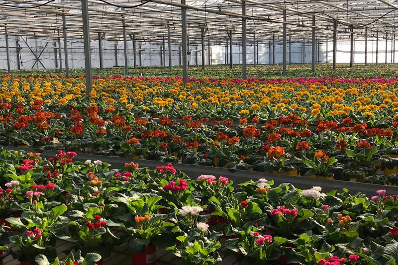 Podniku Agro Brno-Tuřany se loni dařilo zvýšit tržby i zisk, chce udržet trend