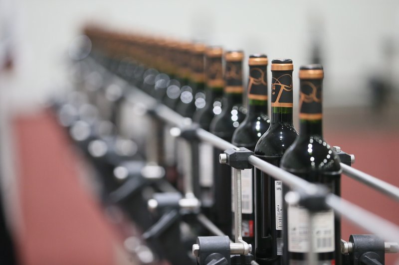 Globální produkce vína letos bude nejnižší za 60 let, klesne i v tuzemsku