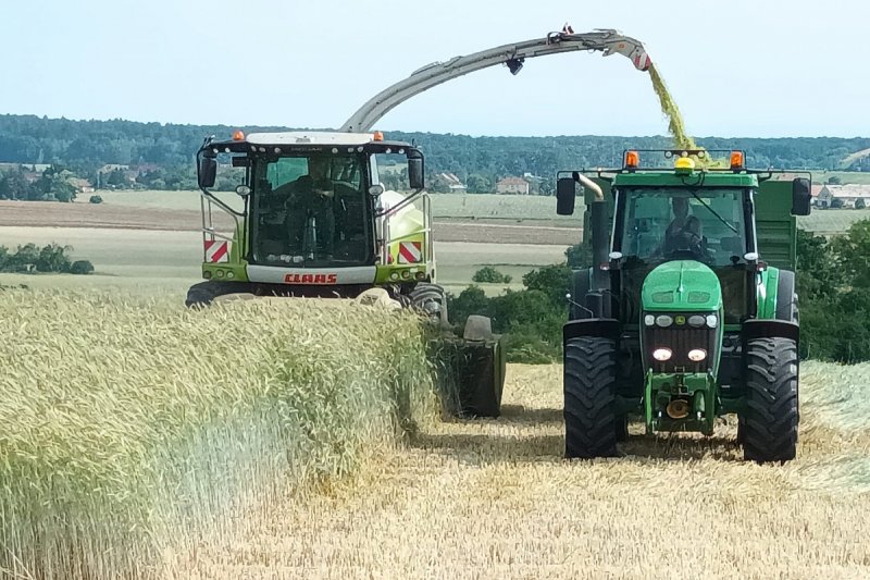 ÚOHS povolil skupině Úsovsko a Agro 2000 koupit podíl ve firmě Rolnická Králíky