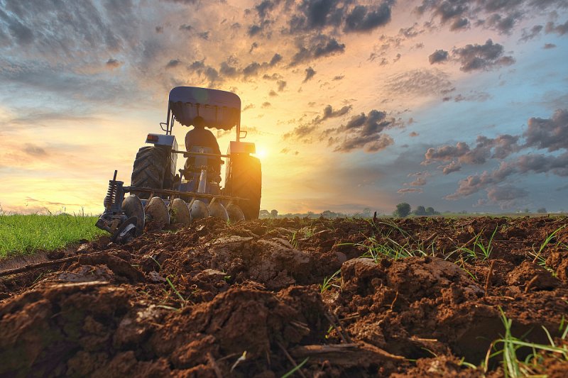 Zisk zemědělských firem loni meziročně klesl o 60 procent