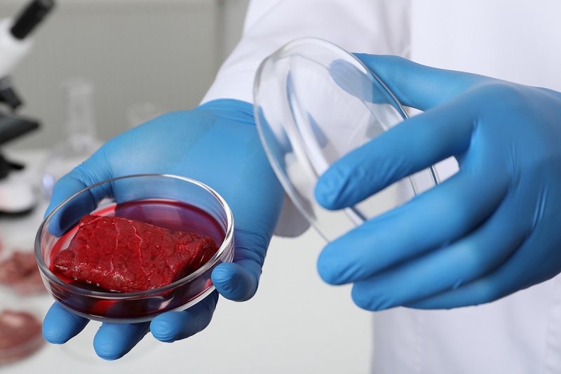 Potraviny z laboratoře by se v Británii mohly prodávat do dvou let