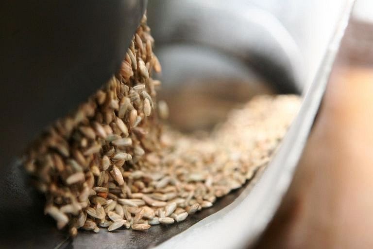 Při žních se projevuje nedostatek zemědělců, automatizaci využívají už i malí a střední producenti