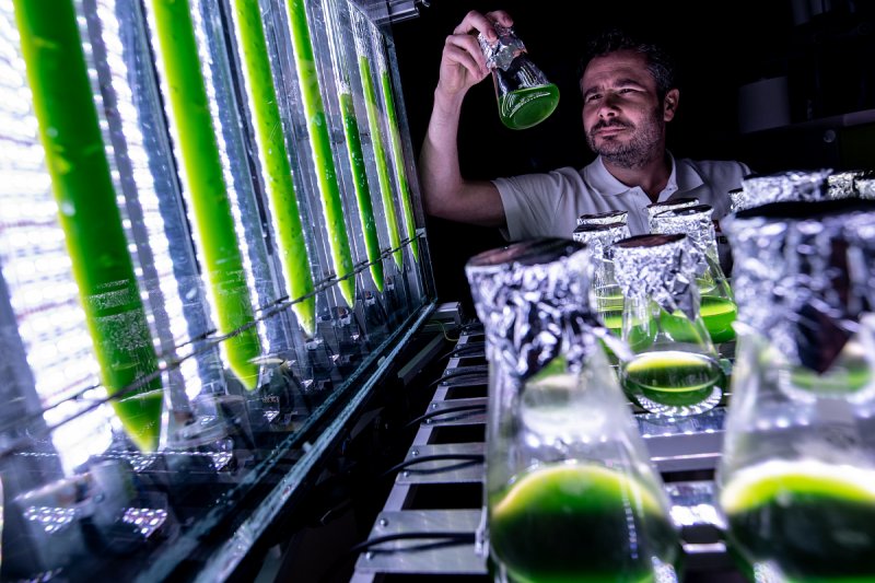 Brněnský start-up Mewery, který vyrábí kultivované maso, získal 61 milionů