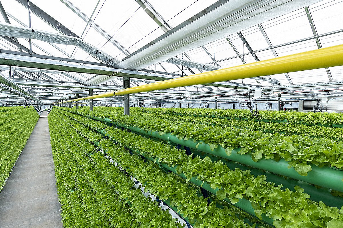 V průmyslové zóně v Liberci vyrostla na střeše jedné z hal automatizovaná hydroponická farma
