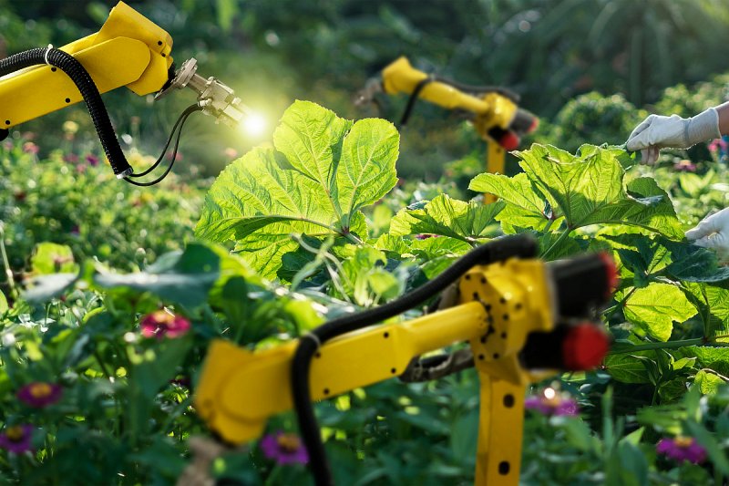 Konference napoví, co čeká výrobce potravin a nápojů v oblasti robotizace, automatizace nebo umělé inteligence