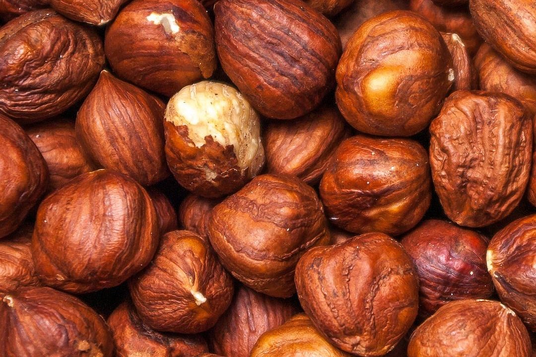 V Itálii sklidí výrazně méně lískových ořechů, škodí to výrobcům cukrovinek