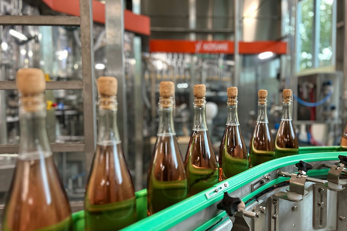 Bohemia Sekt zpracoval přes osm milionů kilogramů hroznů, nejvíc za tři roky