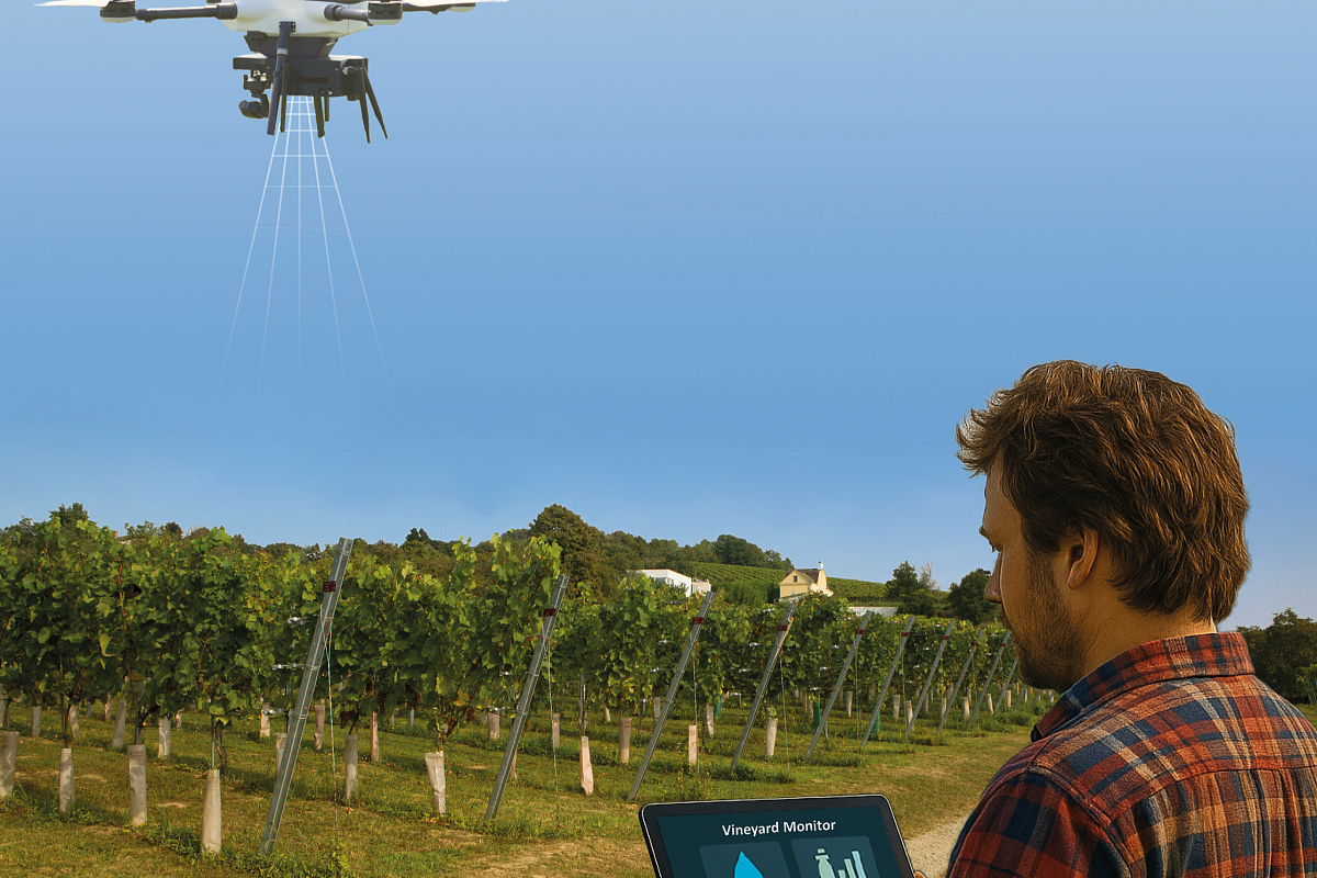 Vědci z VUT vyvíjejí systém, který bude v reálném čase monitorovat stav vinic
