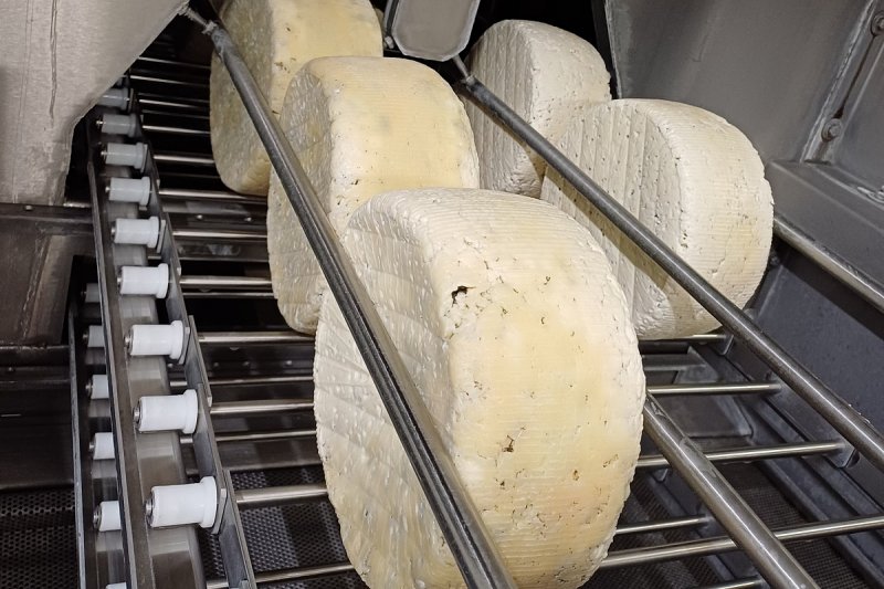 Madeta v roce 2024 zvýšila zisk více než trojnásobně na 241,3 milionu korun