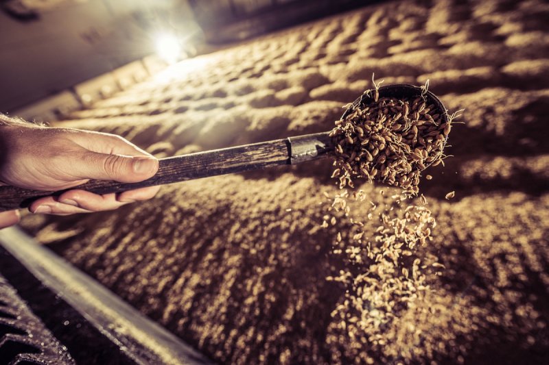 Prazdroj loni ve sladovnách vyrobil rekordní objem sladu i díky efektivitě technologií