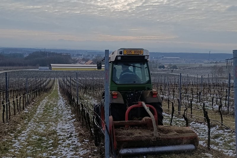Vinaři: Voda a její udržení v půdě je největší výzvou ve vinohradnictví v Česku