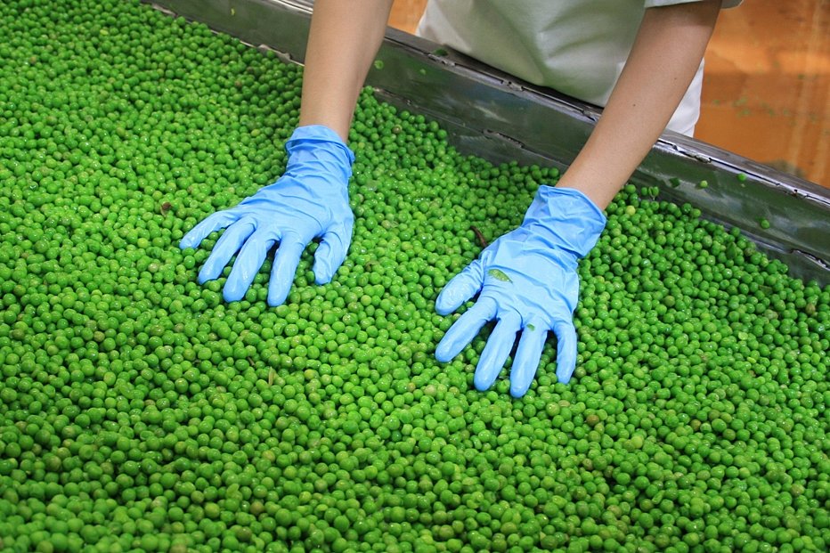 Svazy: Prozatímní zavedení dohody s Mercosurem ohrozí potravinovou suverenitu EU