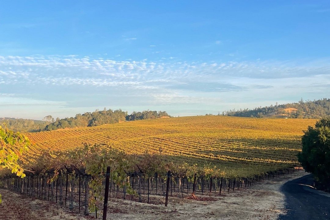 Gallo koupila od japonského pivovaru Kirin bourbon Four Roses