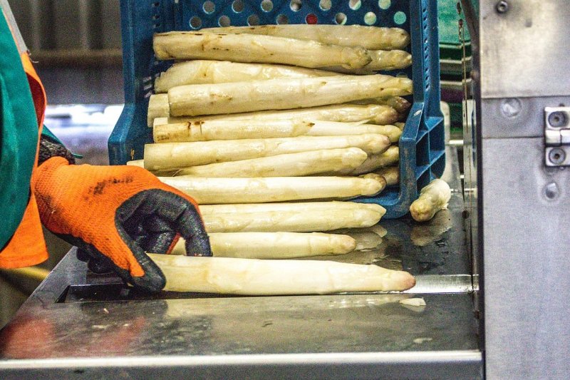 Hostínská farma by ráda nahradila lidskou práci roboty