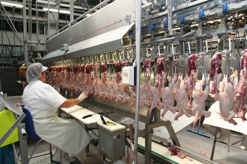 Agrofert loni investoval do potravinářství 3,5 miliardy korun, většinu do automatizace
